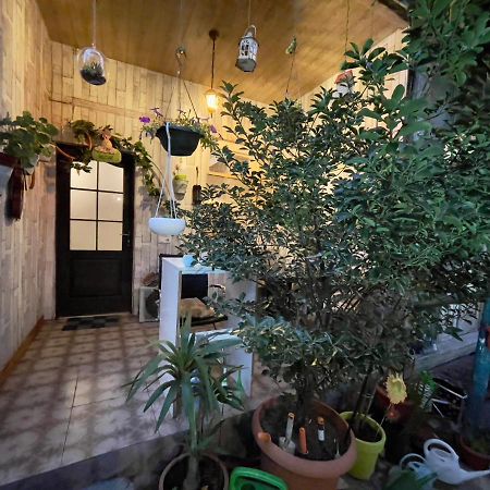Mr Guest House Tbilisi Zewnętrze zdjęcie