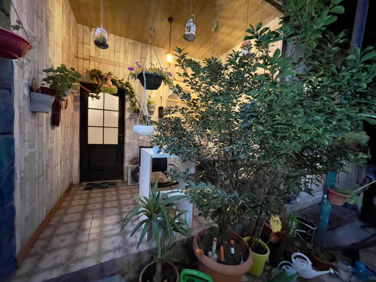 Mr Guest House Tbilisi Zewnętrze zdjęcie